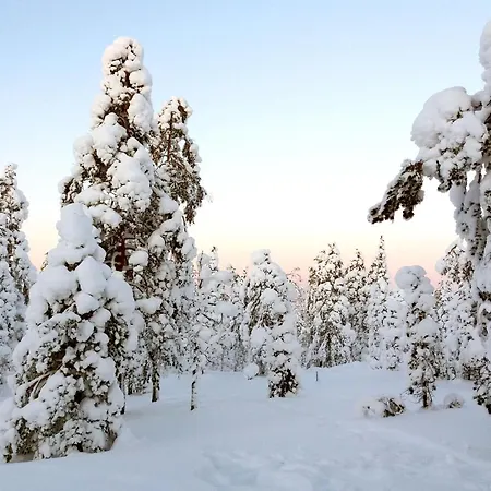 Daire Sweet Home, Fireplace *