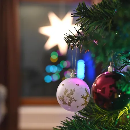 Sweet Home, Fireplace 아파트 로바니에미